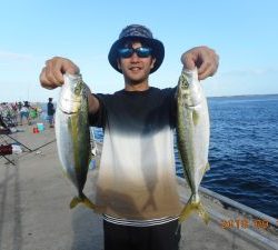 鹿島港魚釣園 釣果