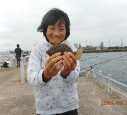 鹿島港魚釣園 釣果