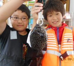 鹿島港魚釣園 釣果