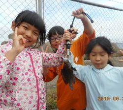 鹿島港魚釣園 釣果