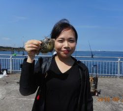 鹿島港魚釣園 釣果