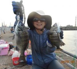 鹿島港魚釣園 釣果