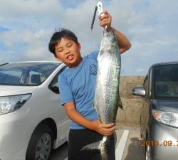 鹿島港魚釣園 釣果