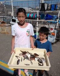 和歌山マリーナシティ釣り公園 釣果