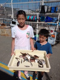 和歌山マリーナシティ釣り公園 釣果