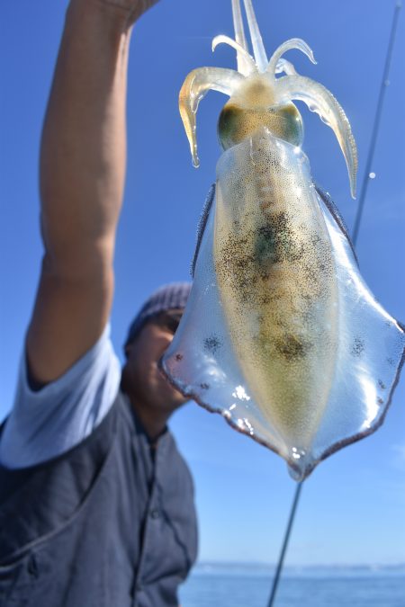 Fisherman Dreams DI 釣果