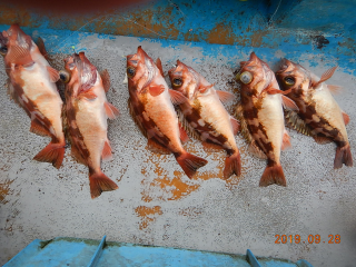 作十丸 釣果