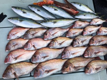 星隆丸 釣果