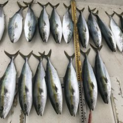 釣り船角田 釣果