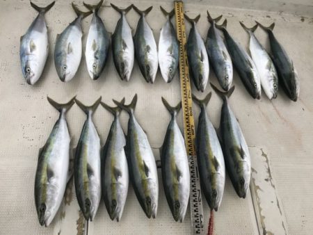 釣り船角田 釣果