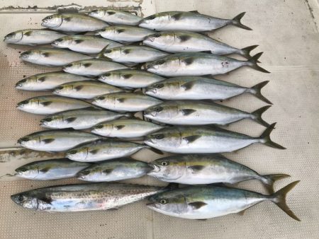 釣り船角田 釣果