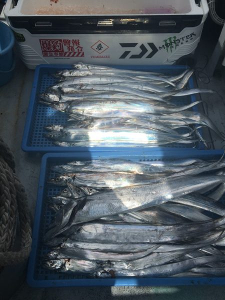 夢丸 釣果