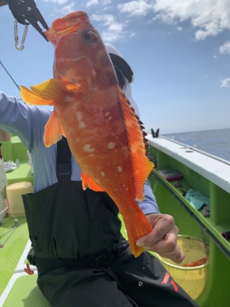 松栄丸 釣果