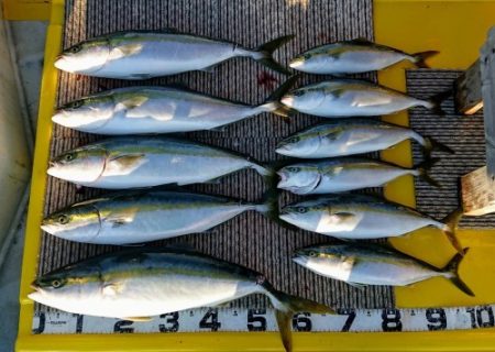 火遠理丸（ほおりまる） 釣果