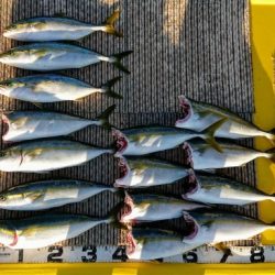 火遠理丸（ほおりまる） 釣果