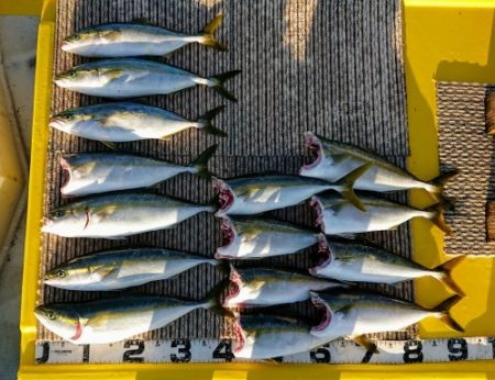 火遠理丸（ほおりまる） 釣果