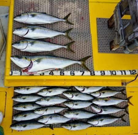 火遠理丸（ほおりまる） 釣果