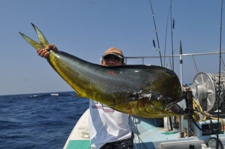 八海丸 釣果