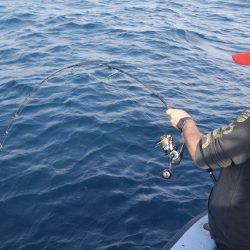 松鶴丸 釣果