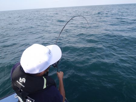 松鶴丸 釣果