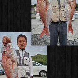 桑田観光 釣果