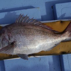 松鶴丸 釣果