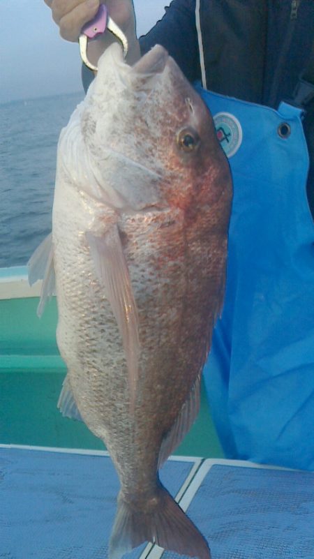 富士丸 釣果