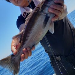 海龍丸（石川） 釣果