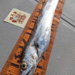 釣人家 釣果