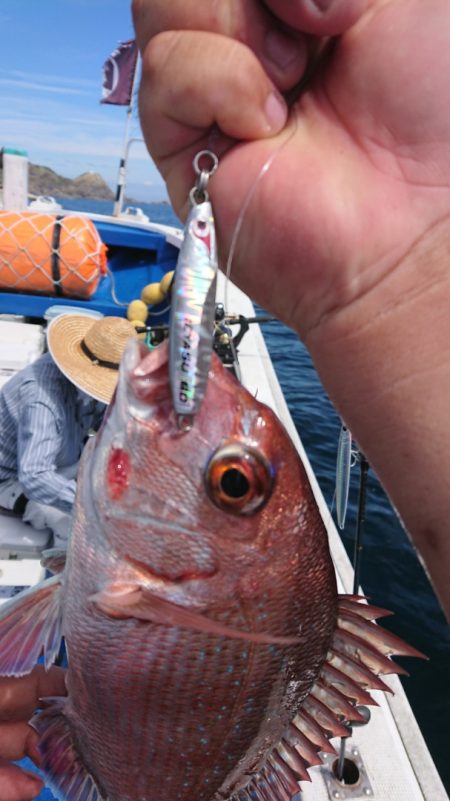 清和丸 釣果