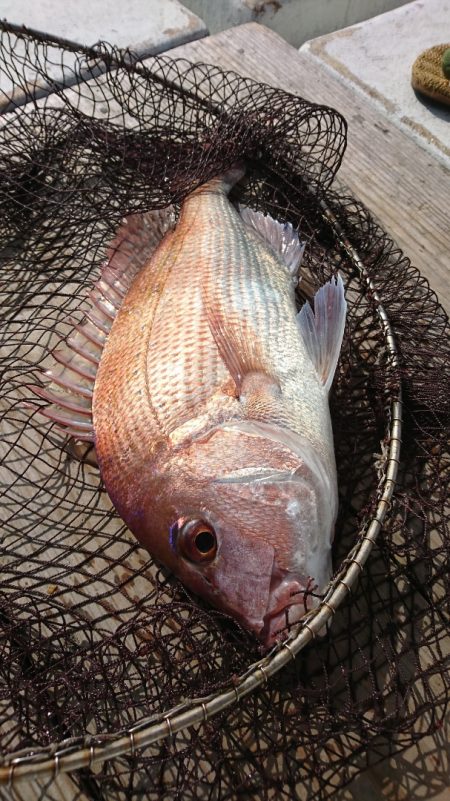 美宝丸 釣果