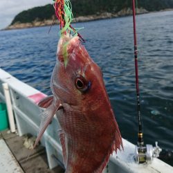 美宝丸 釣果