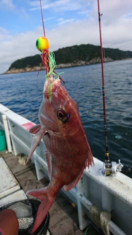 美宝丸 釣果