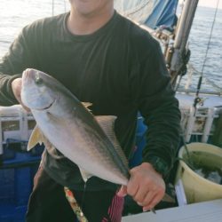 清和丸 釣果