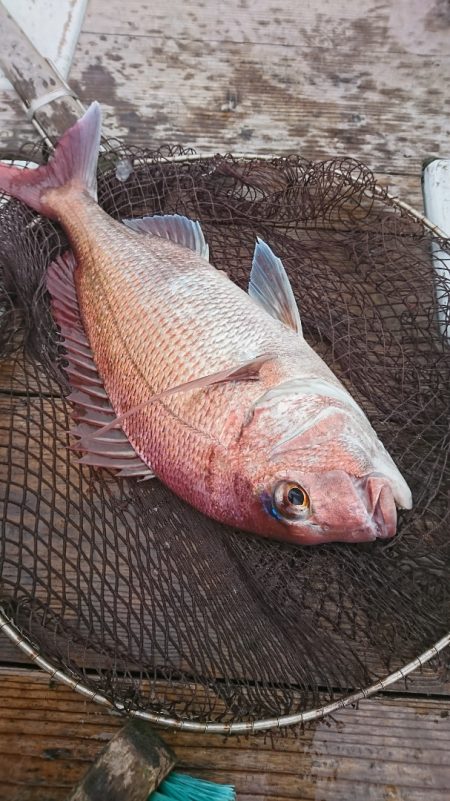 美宝丸 釣果