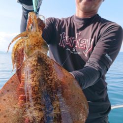 シースナイパー海龍 釣果