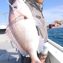 だて丸 釣果