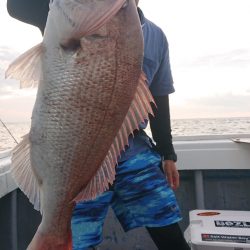 だて丸 釣果