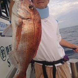 だて丸 釣果