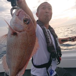 だて丸 釣果