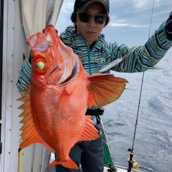 さくら丸 釣果