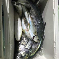 海龍丸（石川） 釣果