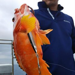 光生丸 釣果