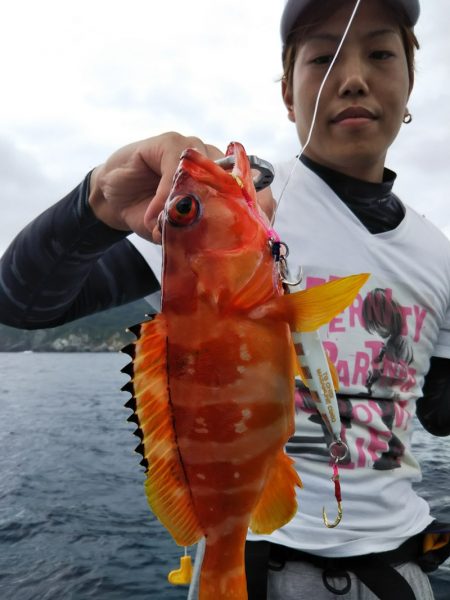 光生丸 釣果