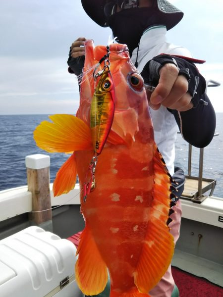 光生丸 釣果