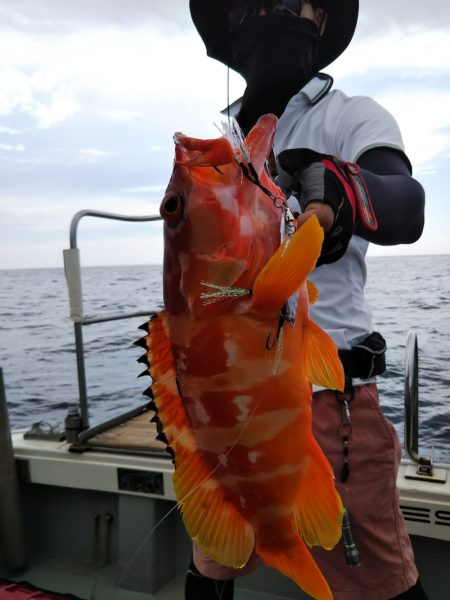 光生丸 釣果