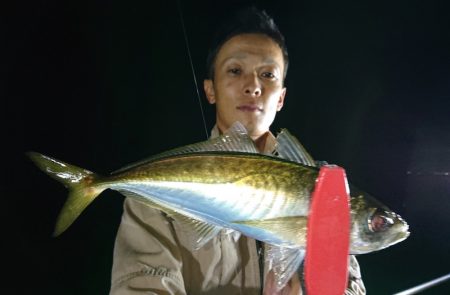 シースナイパー海龍 釣果