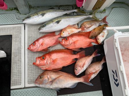 さくら丸 釣果