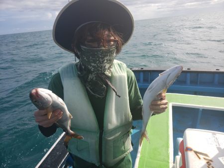 丸万釣船 釣果