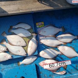 北海道 フグ ジギング船 釣り船 釣果情報サイト カンパリ